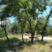 Galati, Micro 21,
